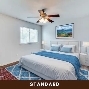 virtual staging standard design style